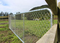 Porte galvanisée à chaud de barrière de portée de 75X75MM la cour de moutons