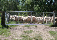 Porte galvanisée à chaud de barrière de portée de 75X75MM la cour de moutons