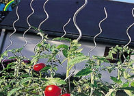 Fil de soutien de tomate de garnitures de barrière de maillon de chaîne de 6.5MM*1.8M