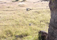 Barrière extérieure galvanisée Wire Tensioner de ferme de rochet