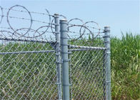 9 mesure 5*5cm 6 pieds de chaîne de barrière Galvanized Diamond Mesh Wire For Farm de maillon