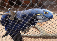 Les grands oiseaux mettent en cage le filet inoxydable de câble de Mesh Sky Woven Leopard Ferrule de corde de la Chambre 304