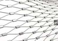 Filet de câble de mur de vert de Mesh Ferrule Architecture Plant Trellis de câble métallique de l'acier inoxydable 7 x 19