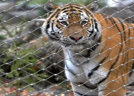 le zoo Mesh Enclosure Netting X d'acier inoxydable de 7x19 Tiger Metal 1.2mm tendent formé