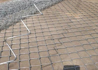 Barrière galvanisée plongée chaude de grillage de diamant de PVC de fabrication de fil de diamant pour le bord de la mer