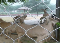 Maille de volière d'acier inoxydable de protection des animaux/clôture grillage de zoo antirouille