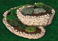 Gabion soudé a soulevé des lits de jardin dans en spirale/triple d'anneaux pour des légumes de fleurs