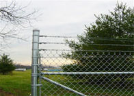 4 pi X ferme de tissu de vert de frontière de barrière de Mesh Fence Steel Backyard Home de maillon de chaîne de 50 pi