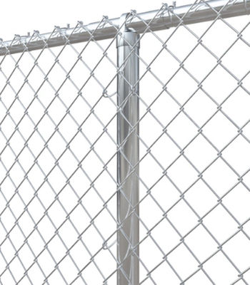 le PVC galvanisé élevé de 2.4m a enduit le maillon de chaîne Mesh Fence Sun Resistance